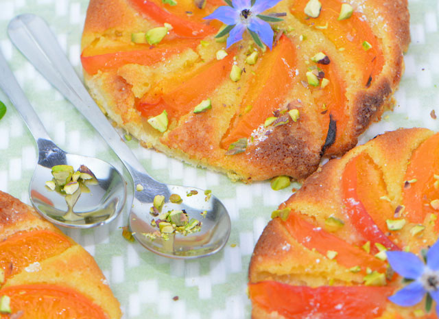 recette facile de Tarte fine aux abricots